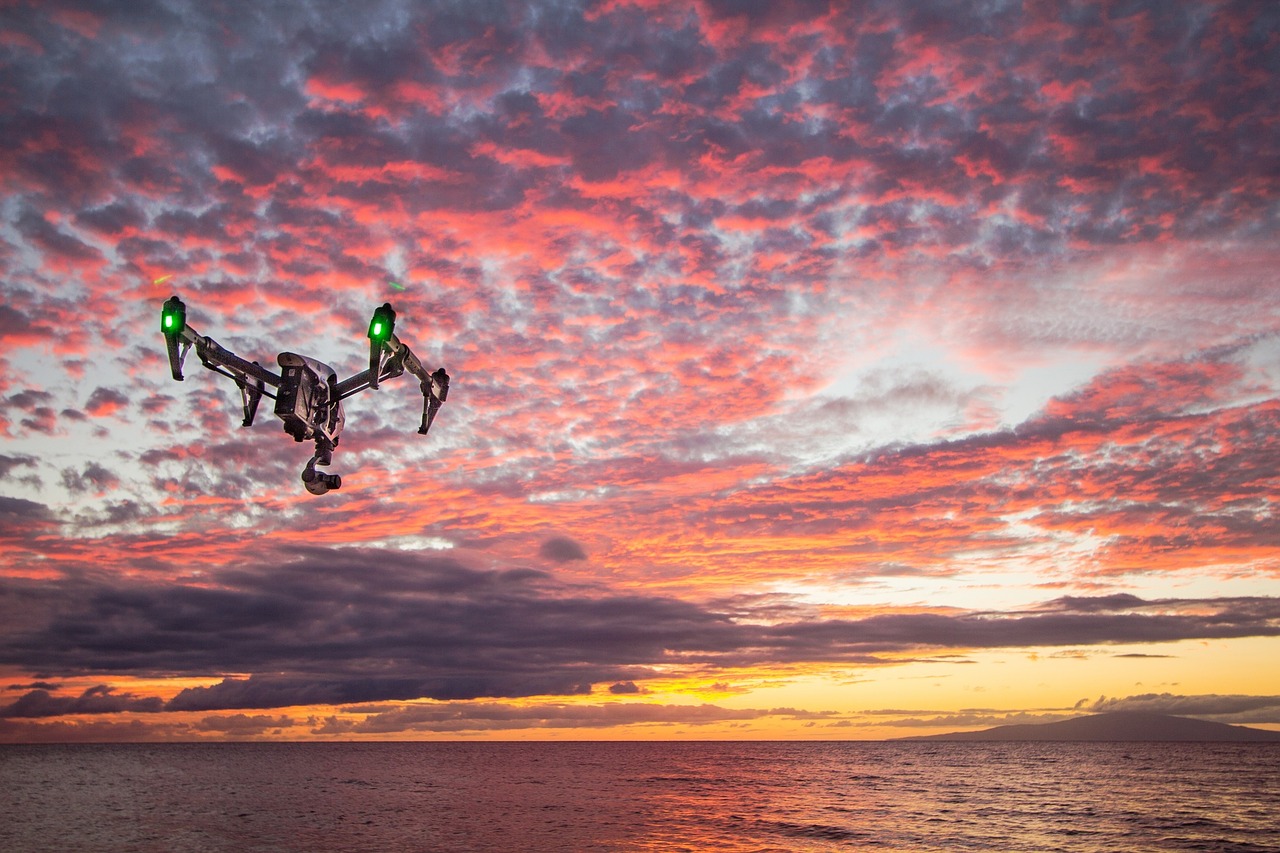 A Sneak Peek into the Future of Drones